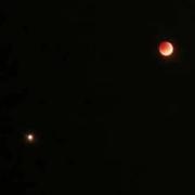 离柒L的个人资料头像