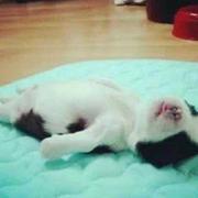 信号的个人资料头像