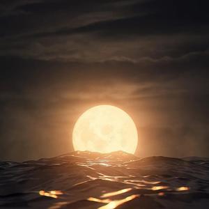 清风好音乐分享头像