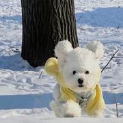 十全久美的个人资料头像