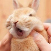 左手右手的个人资料头像