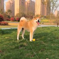 用户9343281765730头像