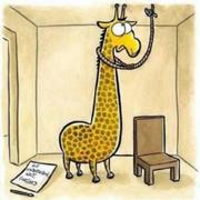 阿阳175的个人资料头像