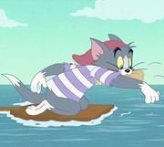 偃仰的个人资料头像