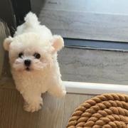 7Years745的个人资料头像