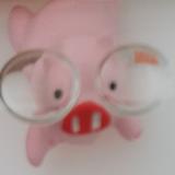 用户3530113524528头像