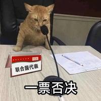 灵巧暖阳hyL头像