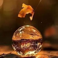 男儿守华夏头像