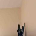 蛋挞蛋打头像