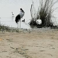 手机用户98514433228头像