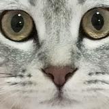 手机用户51176671136头像