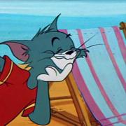 天啊682的个人资料头像