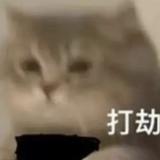 鼠鼠我啊要寄了头像