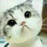 晓的个人资料头像