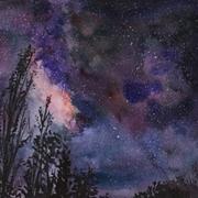 用户4387932835745的个人资料头像