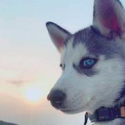 狂奔的蜗牛443的个人资料头像