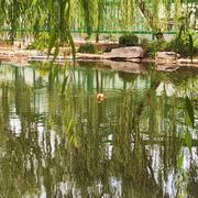 唯有重剑的个人资料头像