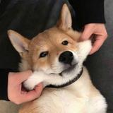 用户1701800022425头像