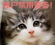 佛系郭荔枝的个人资料头像