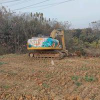 番茄111134432784头像