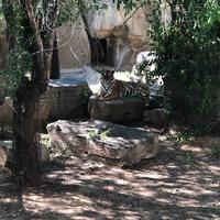 用户3554671387514头像