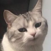 吴__的个人资料头像