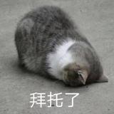 （良将通讯）王亮头像