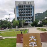 ꧁后来꧂头像