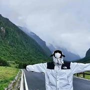 鹄枝的个人资料头像