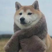 你的访问未授权的个人资料头像