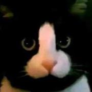 awsl272的个人资料头像