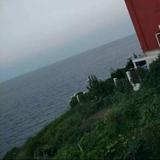 完美海浪K头像