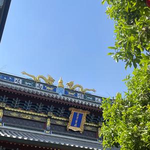 G零者头像