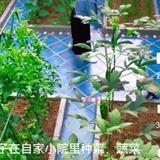 用秋风头像