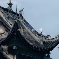 小海鸥的名言头像