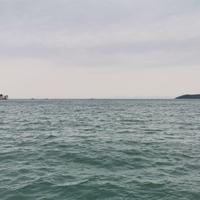 豫东小老乡头像