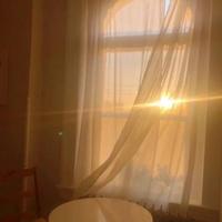 芝加哥的温柔头像