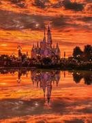 夕阳西下de猹的个人资料头像