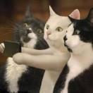 CodeMonkey本尊的个人资料头像