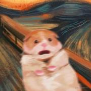 STAN的个人资料头像