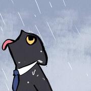 亡争的个人资料头像