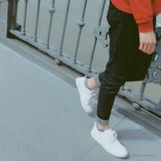 大奥特曼打小怪兽的个人资料头像