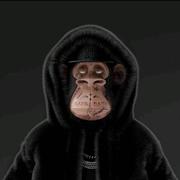 忘鱼的个人资料头像