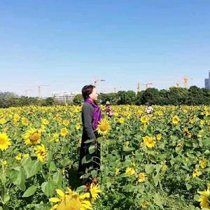 英明果断静思头像