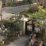 自在朝阳818头像