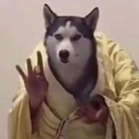 擀面皮批一下头像