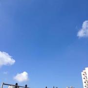 知音198的个人资料头像