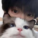 孤狼mlo头像