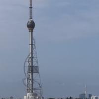 愉悦的暖阳D1头像