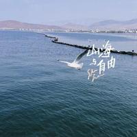 浮躁3518头像